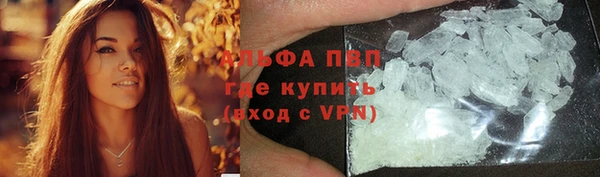 дмт Аркадак