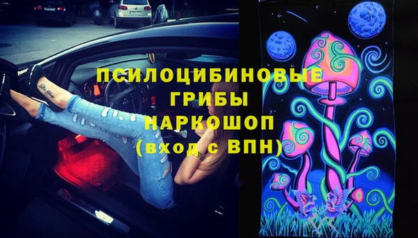 дмт Аркадак