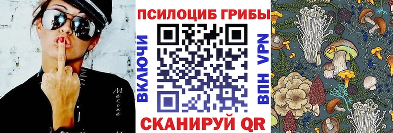 Галлюциногенные грибы Cubensis  Михайловка 